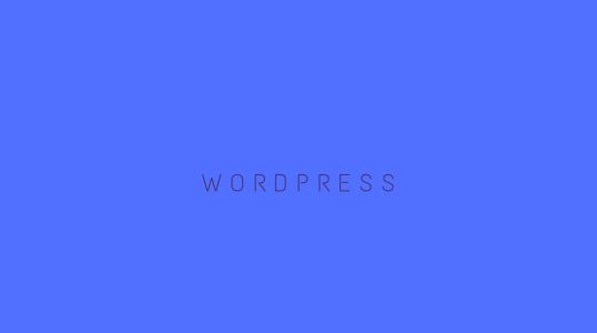 Website Building wordpress